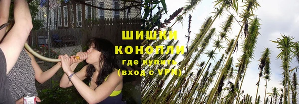 марки lsd Новодвинск