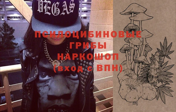 индика Нефтегорск