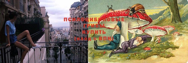 ешки Новокубанск