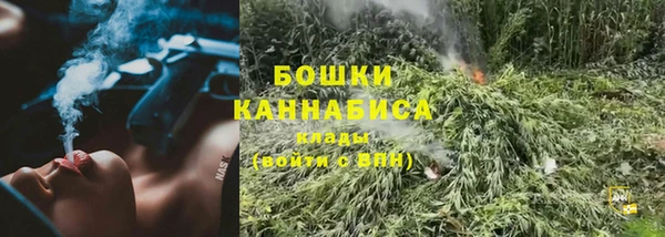 индика Болхов