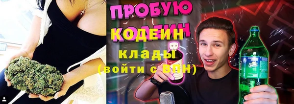 индика Нефтегорск