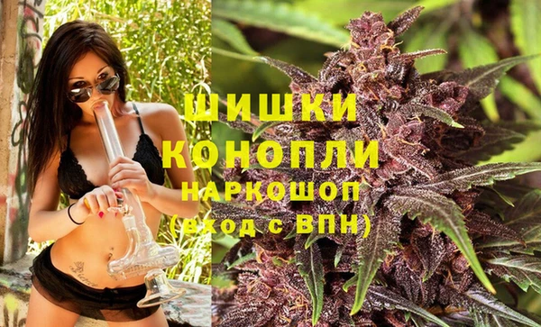 эйфоретик Нефтекумск