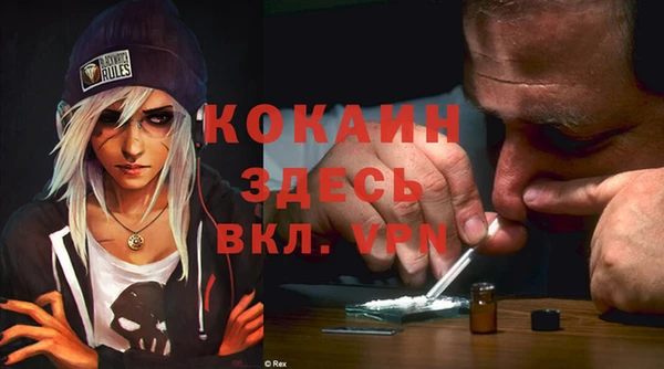 индика Нефтегорск