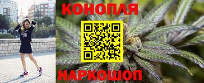 мяу мяу мука Гусиноозёрск