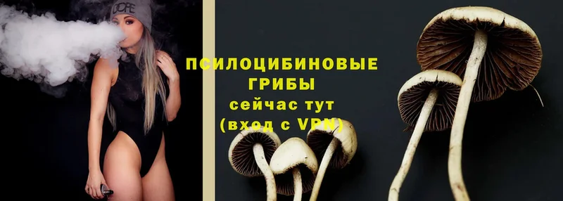 наркота  Зеленокумск  ОМГ ОМГ ТОР  мориарти состав  Галлюциногенные грибы MAGIC MUSHROOMS 