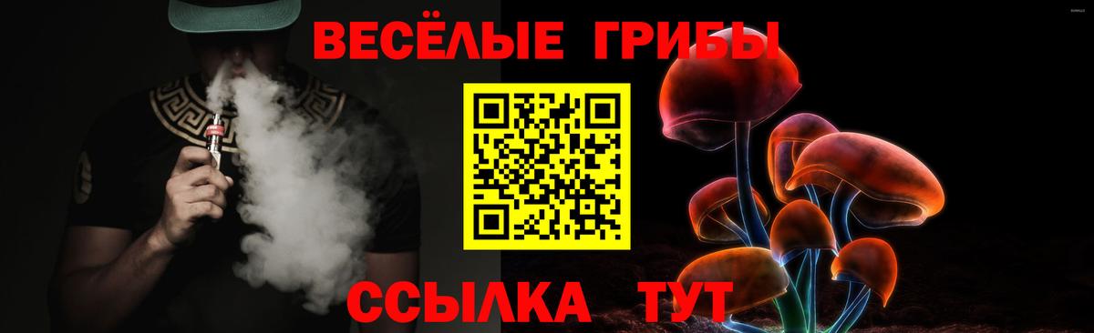 Галлюциногенные грибы GOLDEN TEACHER Зеленокумск