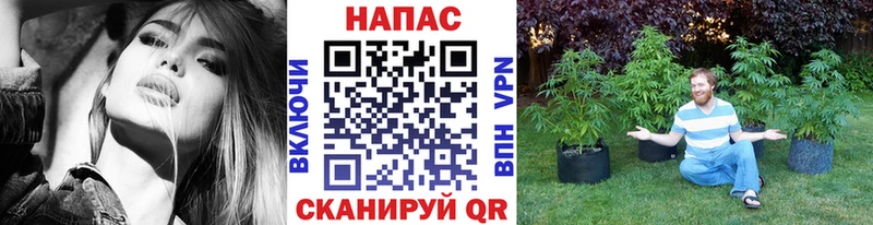 Каннабис AK-47  Зеленокумск 